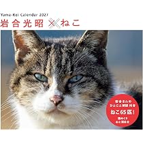 カレンダー2027 岩合光昭×ねこ（週めくり/卓上・リング/猫 風景